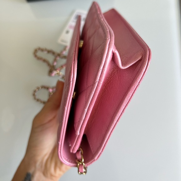 NEW UNBOXED RARE Cloudy pearly goatskin gold hardware iridescent pink - Picture 5 of 14